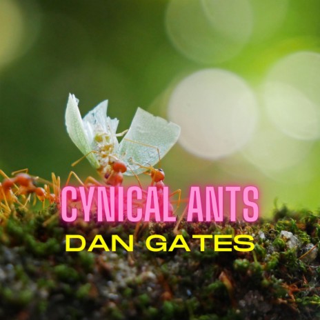 Cynical Ants | Boomplay Music