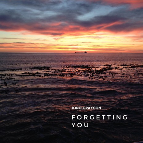 Forgetting You | Boomplay Music