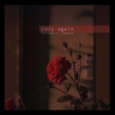 Cozy Again (feat. Tetsuo) | Boomplay Music