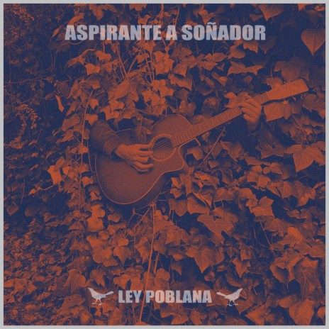 Aspirante a soñador | Boomplay Music