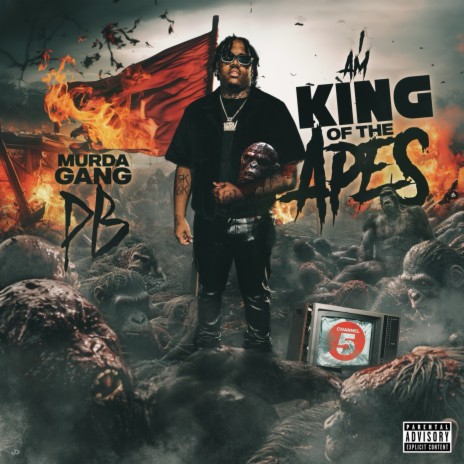 KOTA (King Of The Apes) | Boomplay Music