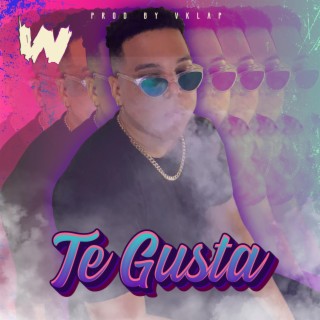 Te Gusta lyrics | Boomplay Music
