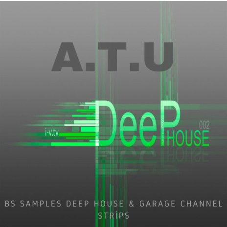 BS Samples Deep House & Garage Channel Strips