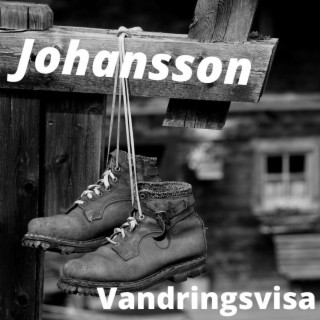 Vandringsvisa lyrics | Boomplay Music