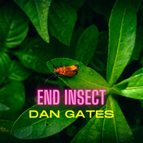 End Insect | Boomplay Music