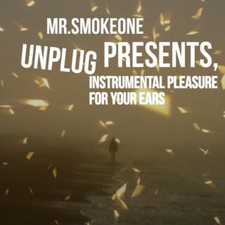 Mr.SmokeOne