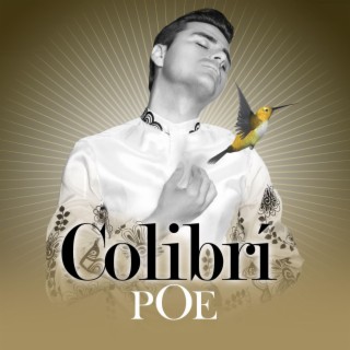 Colibrí lyrics | Boomplay Music