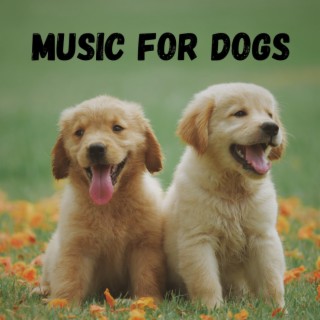 Music For Dogs (Vol.184)