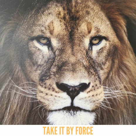 Take it by force | Boomplay Music