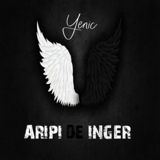 ARIPI DE INGER lyrics | Boomplay Music