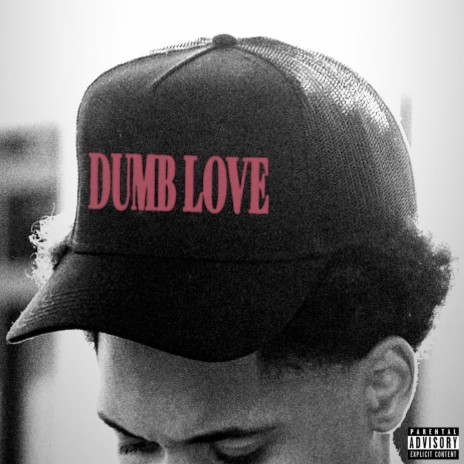 Dumb Love | Boomplay Music