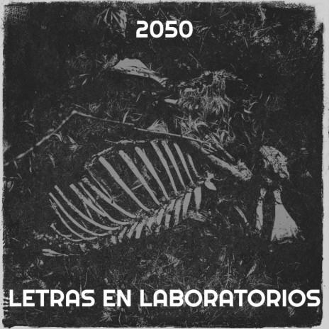 2050 | Boomplay Music