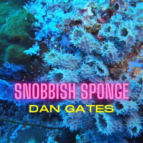 Snobbish Sponge | Boomplay Music