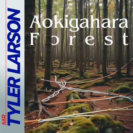 Aokigahara Forest | Boomplay Music