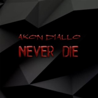 Akon Diallo