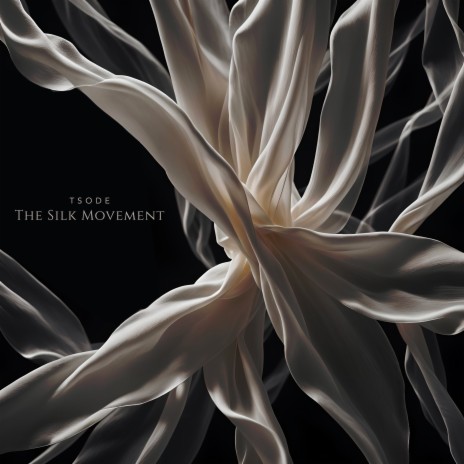 The Silk Movement | Boomplay Music