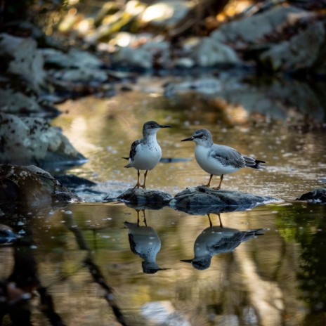 Slumbering Creek and Feathered Friends in Tune ft. In Beautiful Nature & Rangitoto