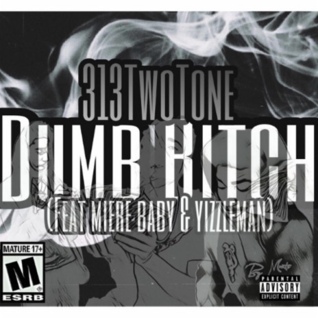 313TwoTone: Dumb Bitch ft. Miere Baby & Yizzleman | Boomplay Music