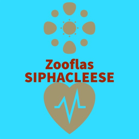 Zooflas | Boomplay Music