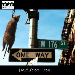 AUDUBON DON