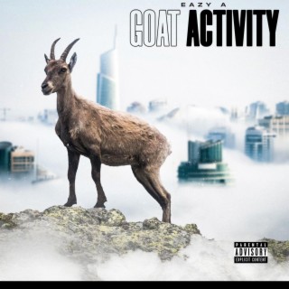 Goat Activity