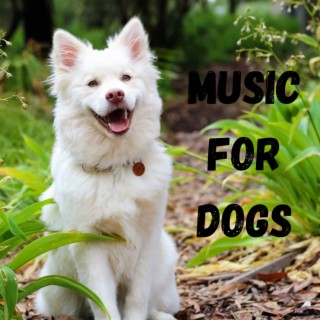 Music For Dogs (Vol.188)