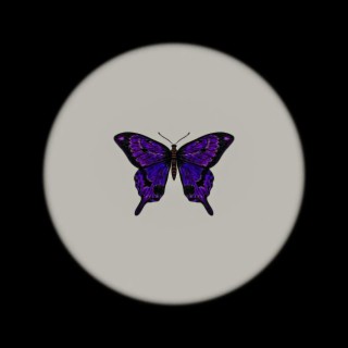 BUTTERFLY EFFECT lyrics | Boomplay Music