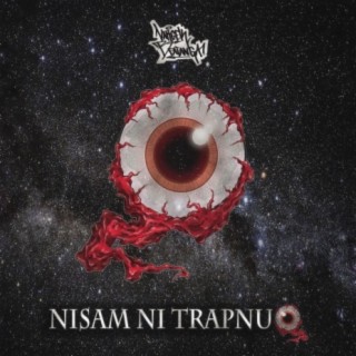 Nisam ni Trapnuo