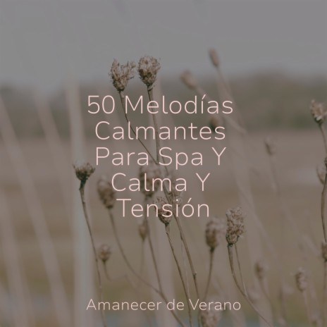 Gracia Envolvente ft. MEDITATION SPA & Sonidos De Truenos y Lluvia | Boomplay Music