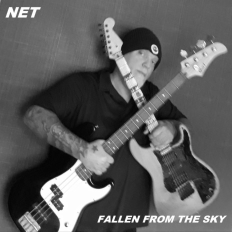 Fallen from the Sky | Boomplay Music