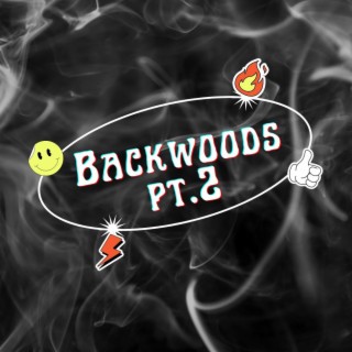 Backwoods Freestyle Pt. 2 ft. Awulf lyrics | Boomplay Music