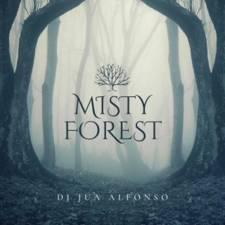 Misty Forest