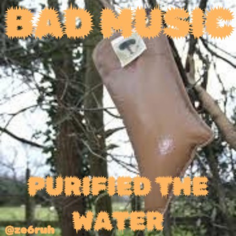 PURIFIED THE WATER | Boomplay Music