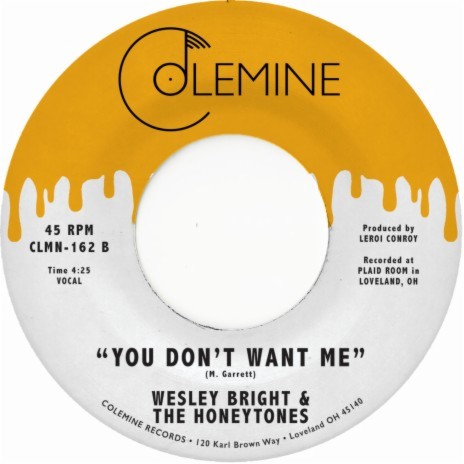 You Don’t Want Me ft. Wesley Bright & The Honeytones & Leroi Conroy | Boomplay Music