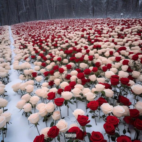 Roses In The Snow | Boomplay Music