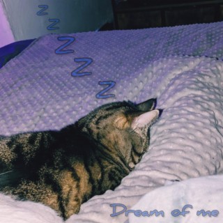 Dream Of Me