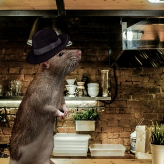 Rat In The Hat