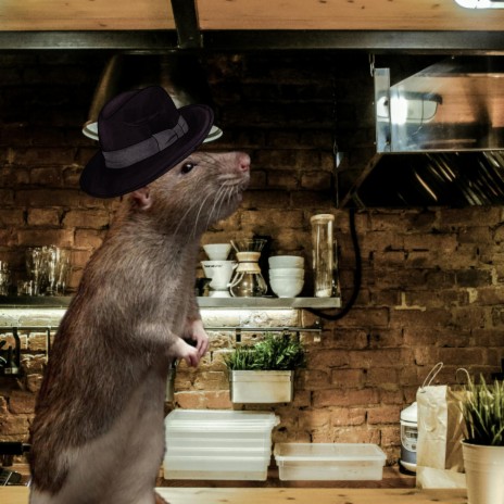 Rat In The Hat | Boomplay Music