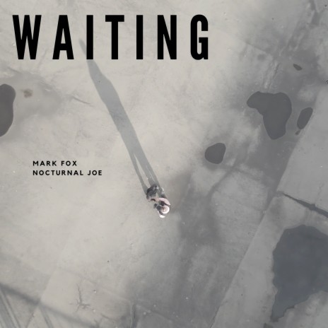 Waiting (Radio Mix) ft. Nocturnal Joe | Boomplay Music
