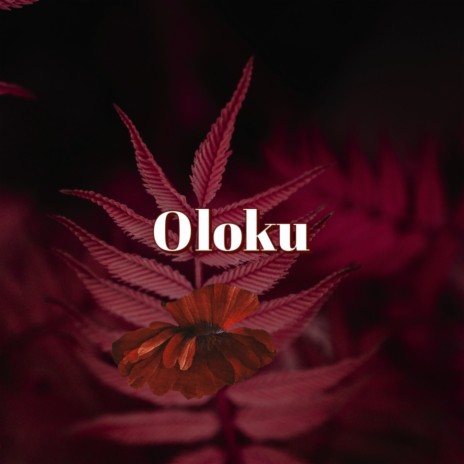 Oloku | Boomplay Music