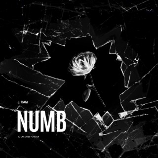 numb