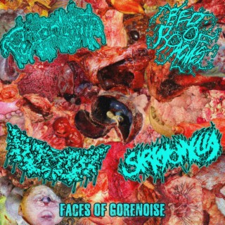 faces of gorenoise split