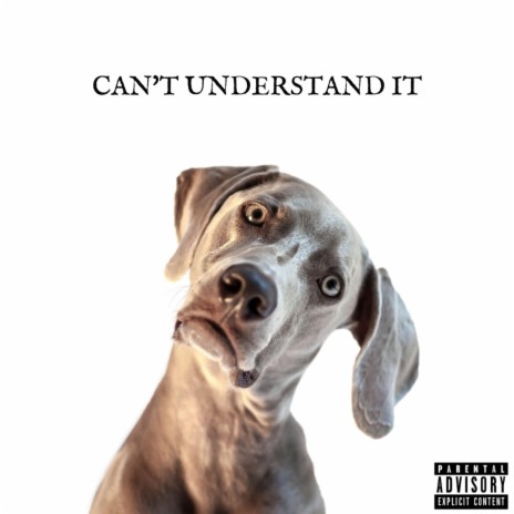 Can't Understand It ft. 2000 Kid