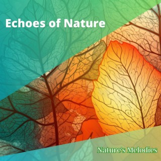 Echoes of Nature