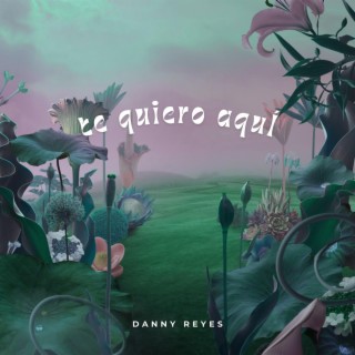 te quiero aquí lyrics | Boomplay Music