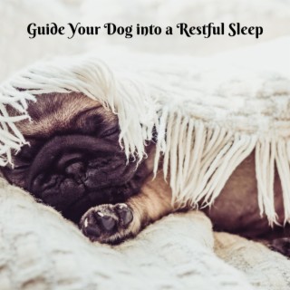 Guide Your Dog into a Restful Sleep: Bedtime Melodies for a Peaceful Pooch