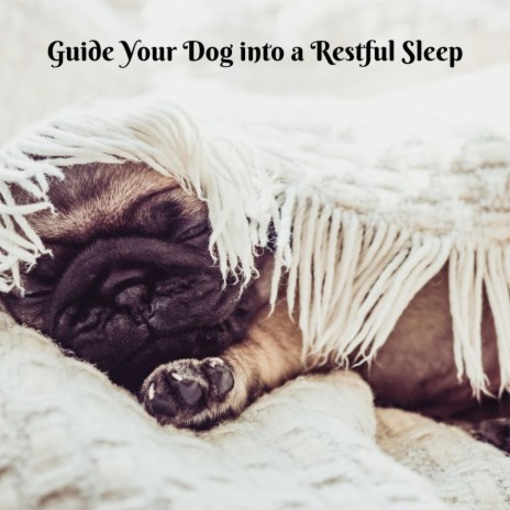 Natural Sleep Aid for Dogs