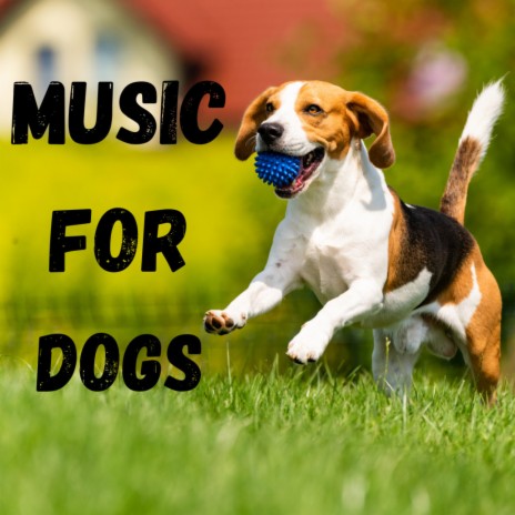 Mans Best Friend ft. Music For Dogs Peace, Relaxing Puppy Music & Calm Pets Music Academy