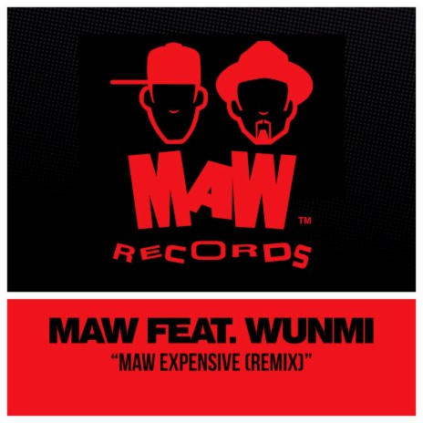 MAW Expensive (A Tribute To Fela) (Dim's Retouch) ft. Wunmi | Boomplay Music