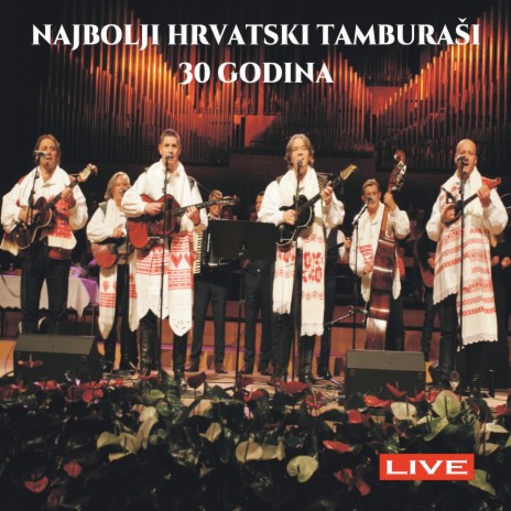Zivila Hrvatska (Live) | Boomplay Music